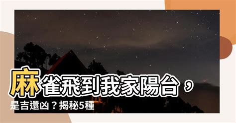 麻雀飛進家裡代表什麼|【麻雀飛到家裡】麻雀飛進家有啥神奇預示？竟和財運。